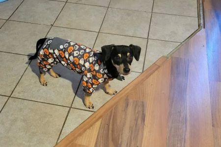 Barbers Hill Animal Hospital