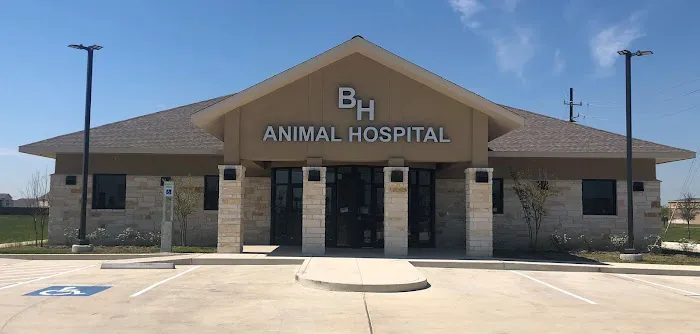 Barbers Hill Animal Hospital 12