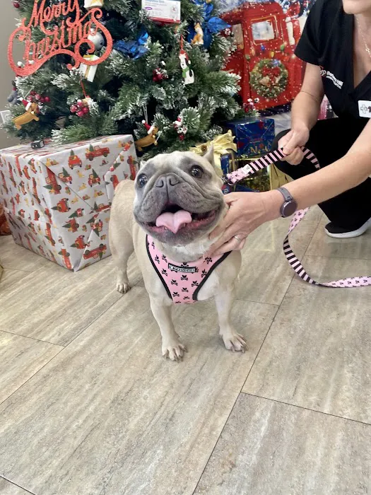 Barbers Hill Animal Hospital 12