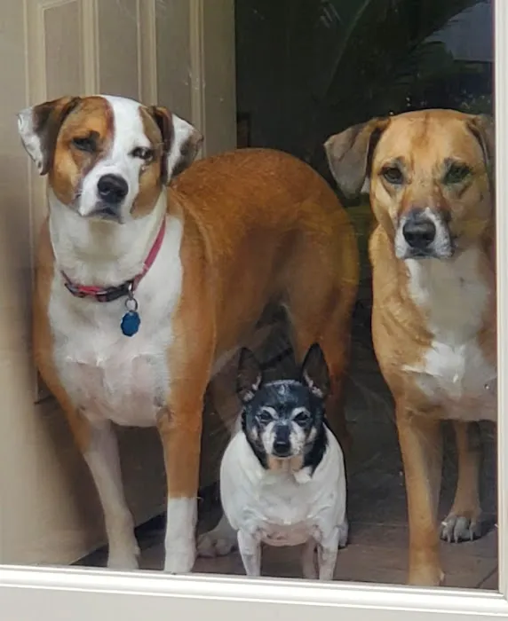 Barbers Hill Animal Hospital 12