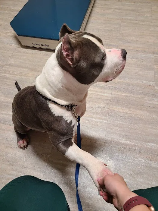 Barbers Hill Animal Hospital 12