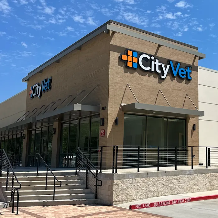 CityVet | Kingwood 12