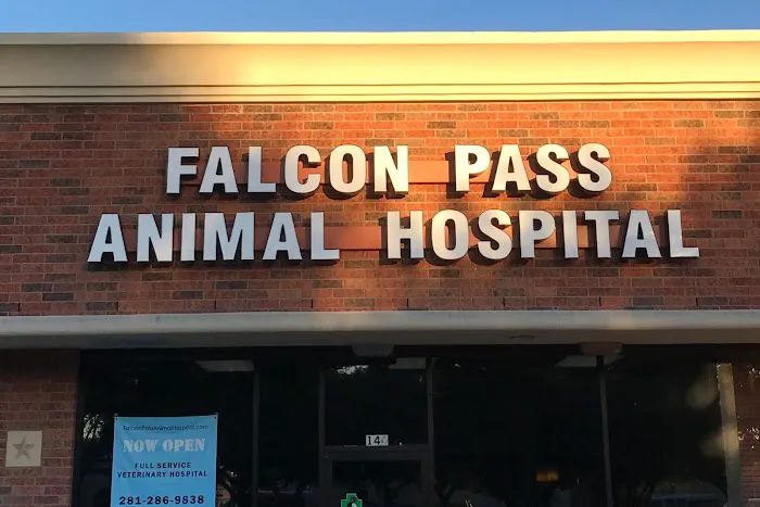 Falcon Pass Animal Hospital 12