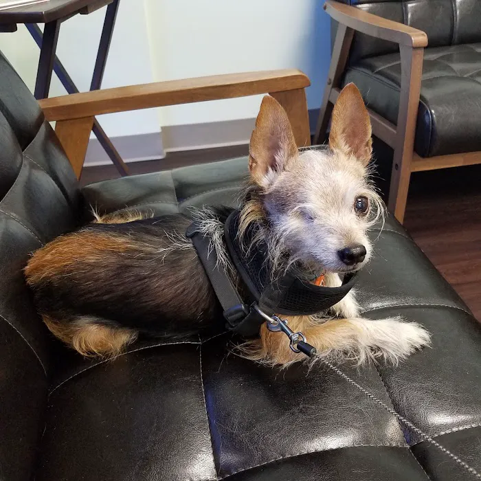 Falcon Pass Animal Hospital 12