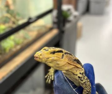 Endless Pets and Supplies