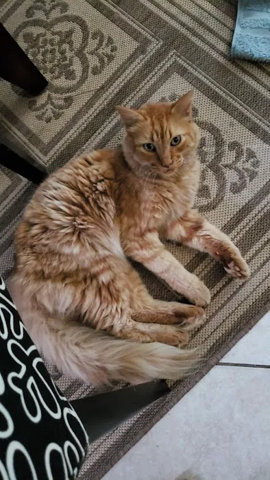 Vetco Total Care Animal Hospital 12
