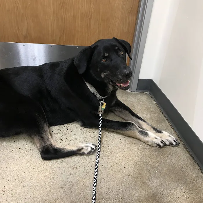 Vetco Total Care Animal Hospital 12