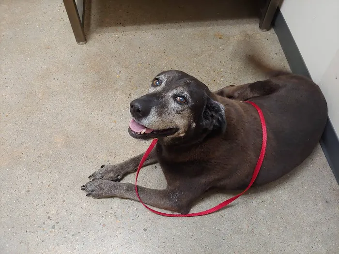 Vetco Total Care Animal Hospital 12