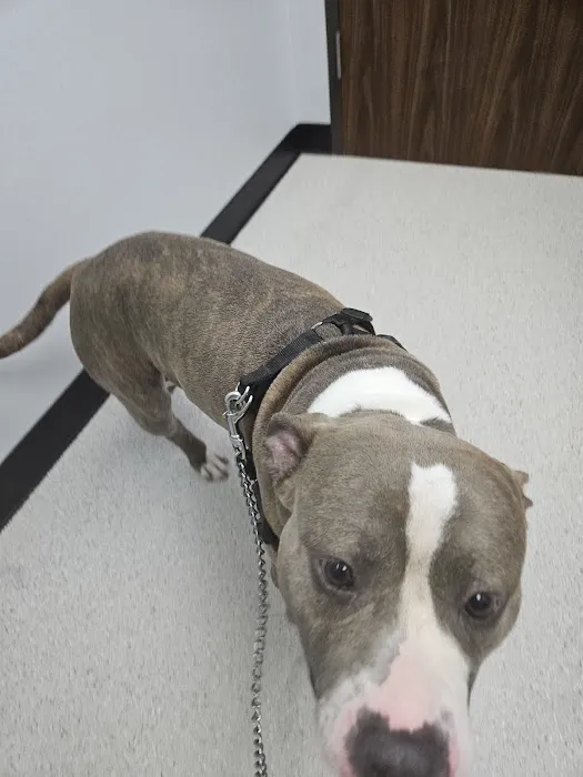 Forest Lake Animal Clinic 12