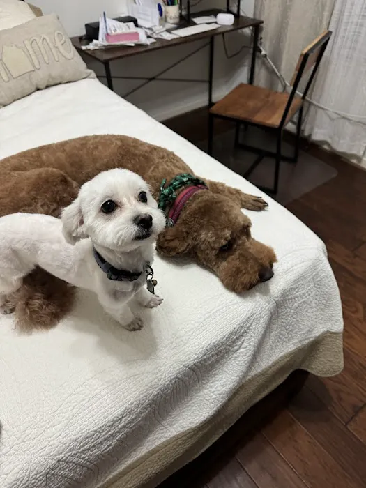 Clear Creek Animal Hospital 12