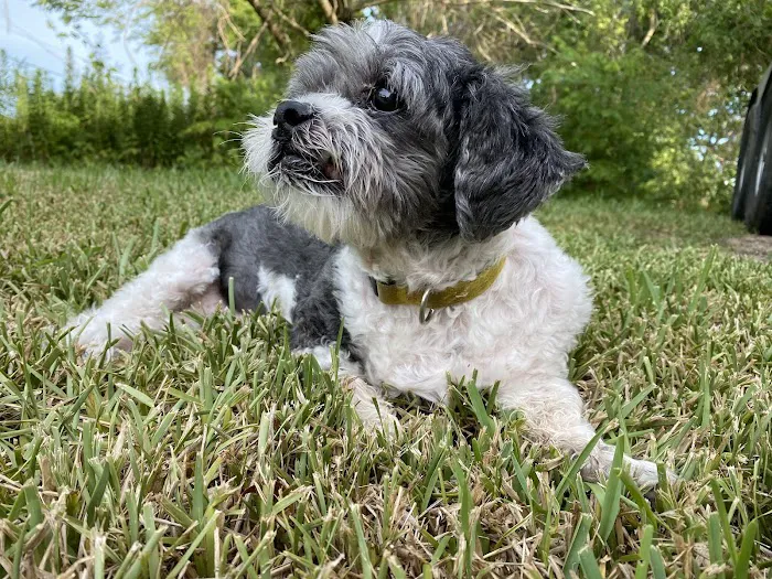 Clear Creek Animal Hospital 12