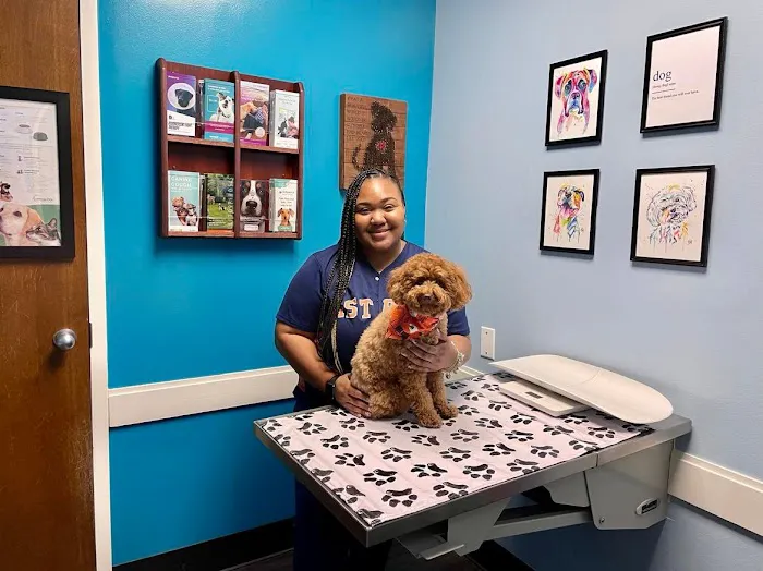 Clear Lake City Veterinary Clinic 12