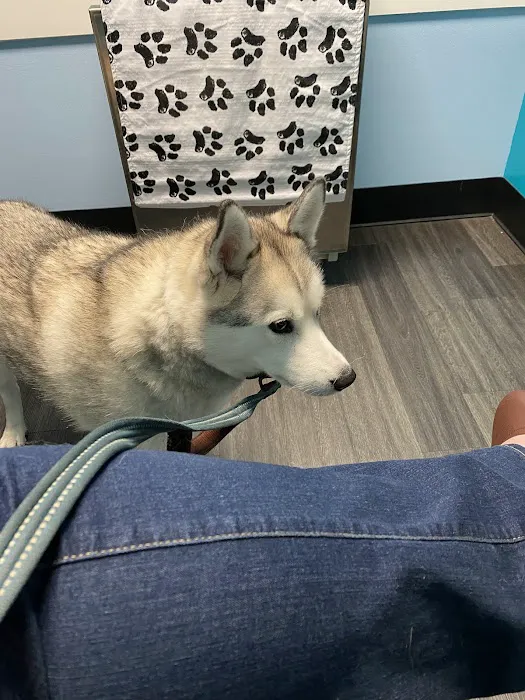 Clear Lake City Veterinary Clinic 12