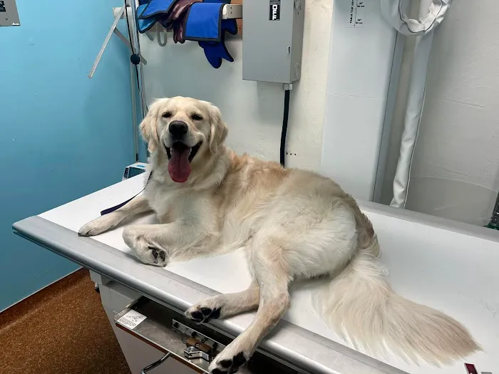 Clear Lake City Veterinary Clinic 12