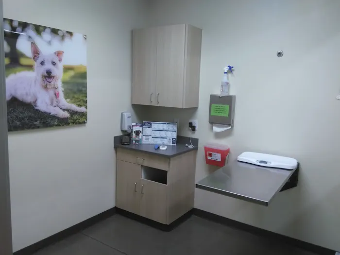 Vetco Total Care Animal Hospital 12