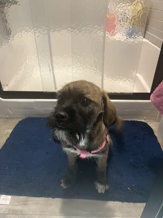 Vetco Total Care Animal Hospital 12