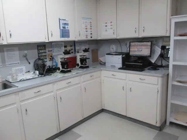 Pearland Animal Hospital 12