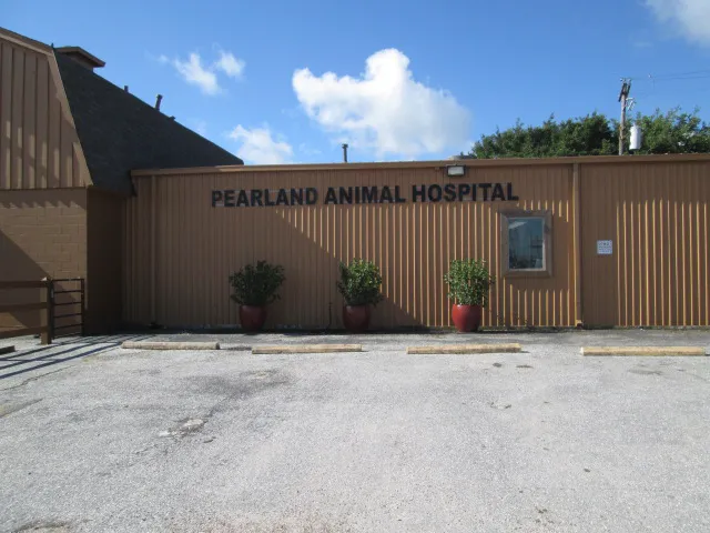 Pearland Animal Hospital 12