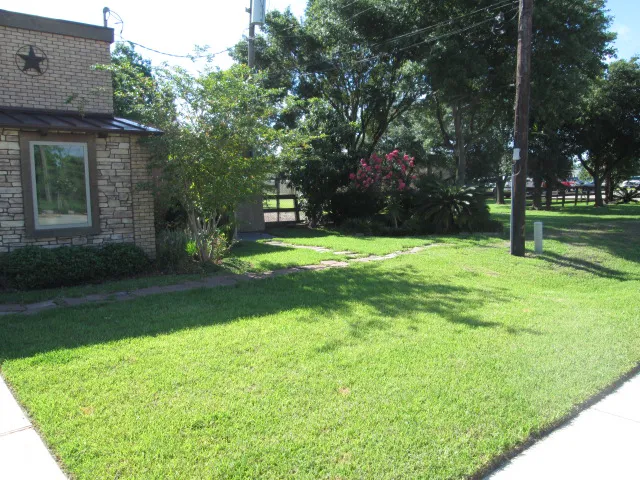 Pearland Animal Hospital 12
