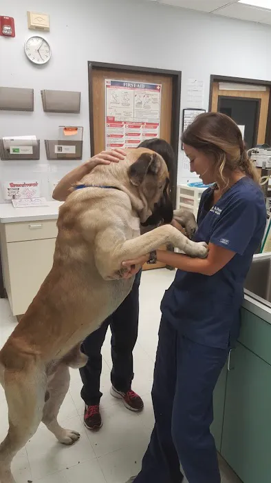 Claws & Paws Veterinary Hospital 12