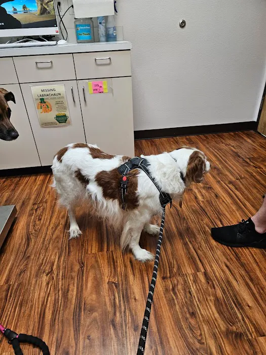 Claws & Paws Veterinary Hospital 12