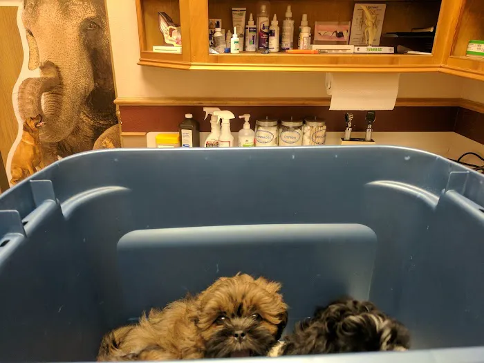 249 Animal Clinic 12