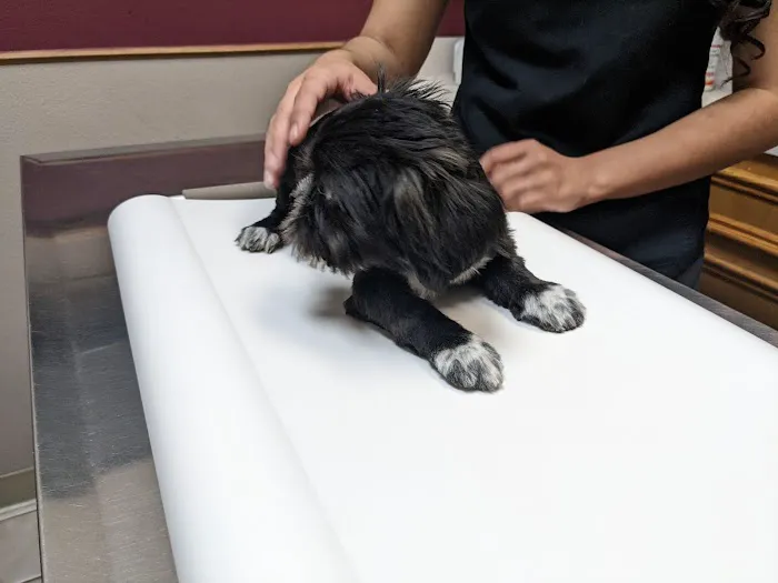 249 Animal Clinic 12