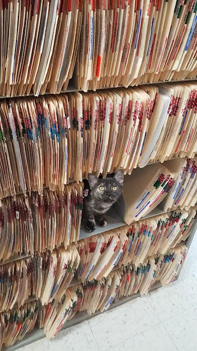 Lakewood Forest Veterinary Hospital 12