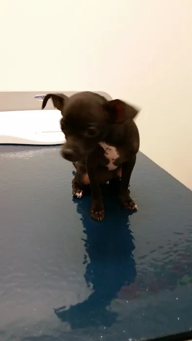VCA Telge Road Animal Hospital 12