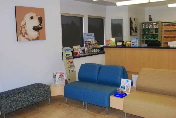 VCA Telge Road Animal Hospital 12