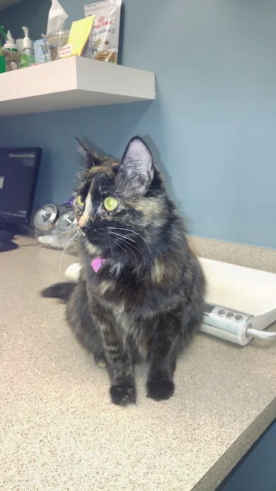 Glenwood Falls Animal Hospital 12