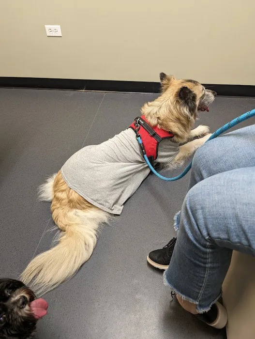 Glenwood Falls Animal Hospital 12