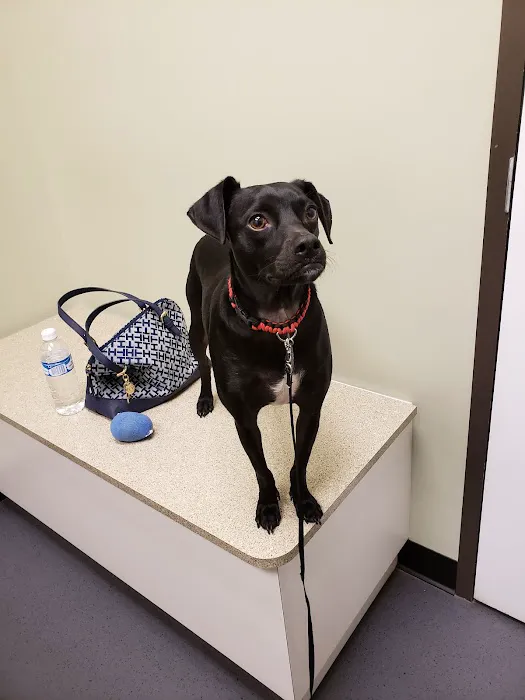 Glenwood Falls Animal Hospital 12