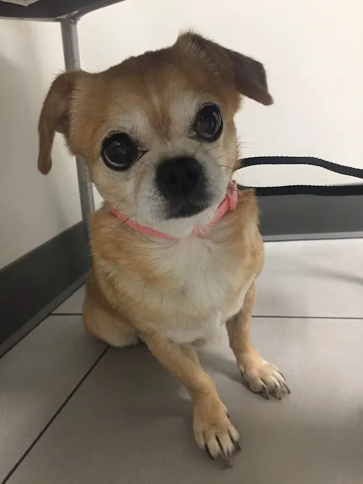 Cy-Fair Animal Hospital 12