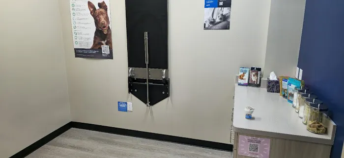 PetLife Urgent Care & Wellness Center 12