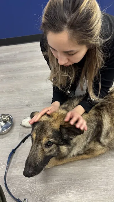 PetLife Urgent Care & Wellness Center 12