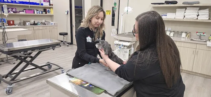 PetLife Urgent Care & Wellness Center 12