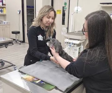 PetLife Urgent Care & Wellness Center