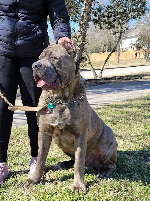 Oak Ridge Animal Clinic 12