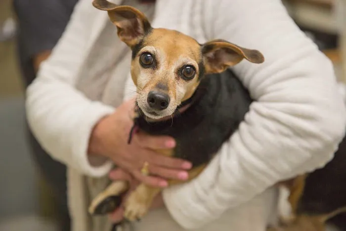 Veterinary Medical Center of The Woodlands 12