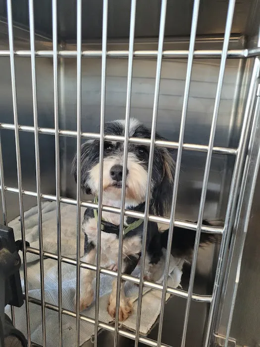 Harmony Pet Clinic 12