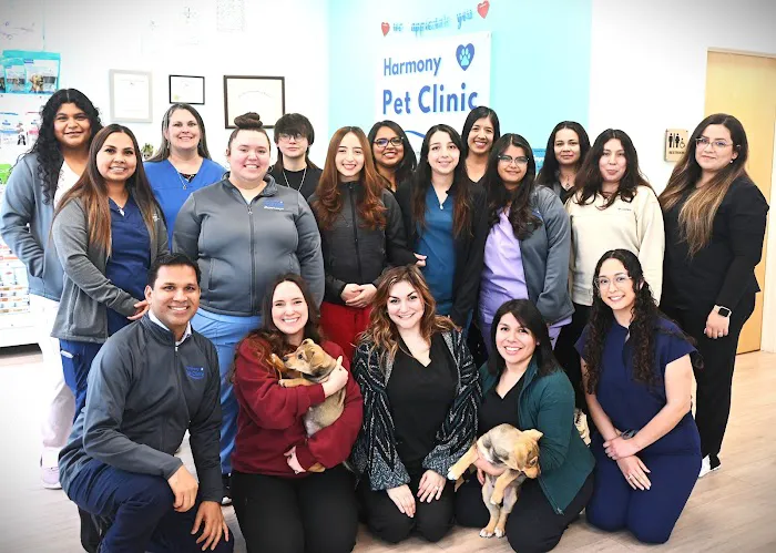 Harmony Pet Clinic 12