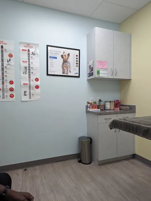 Harmony Pet Clinic 12