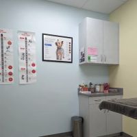 Harmony Pet Clinic ico