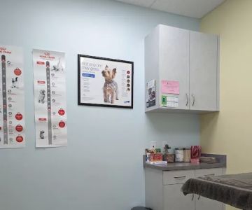 Harmony Pet Clinic