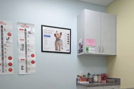 Harmony Pet Clinic