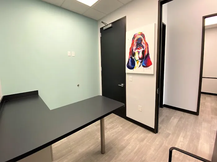 South Creek Animal Clinic 12