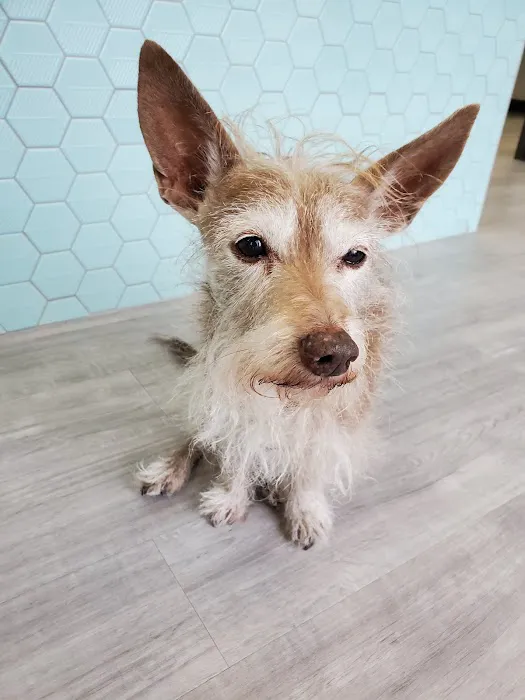South Creek Animal Clinic 12