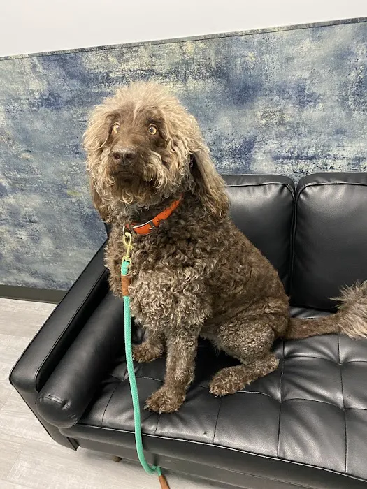 South Creek Animal Clinic 12