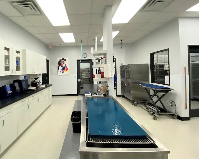 South Creek Animal Clinic 12